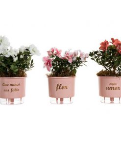 Kit Com 3 Vasos Autoirrigáveis Flor E Amor Rosa