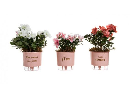 Kit Com 3 Vasos Autoirrigáveis Flor E Amor Rosa